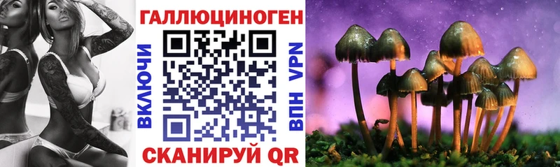 Купить закладки  Истра  Псилоцибиновые грибы Psilocybine cubensis 